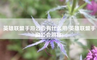 英雄联盟手游公会有什么用(英雄联盟手游公会简称)