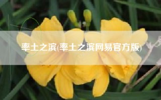 率土之滨(率土之滨网易官方版)