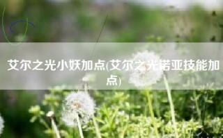 艾尔之光小妖加点(艾尔之光诺亚技能加点)