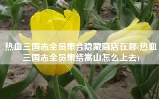 热血三国志全员集合隐藏商店在哪(热血三国志全员集结嵩山怎么上去)