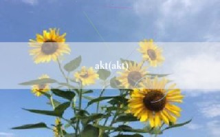 akt(akt)