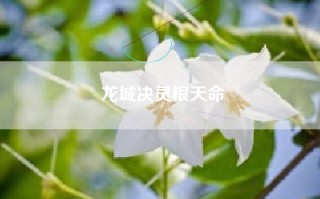 龙城决灵根天命
