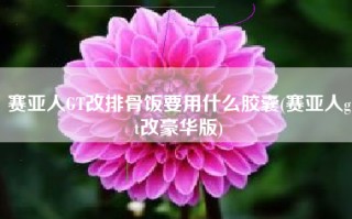 赛亚人GT改排骨饭要用什么胶囊(赛亚人gt改豪华版)
