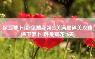 保卫萝卜4卧兔藏龙第23关满星通关攻略(保卫萝卜4卧兔藏龙26关)