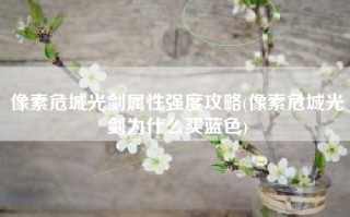 像素危城光剑属性强度攻略(像素危城光剑为什么买蓝色)