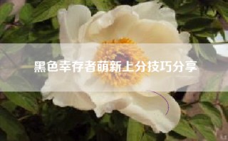 黑色幸存者萌新上分技巧分享