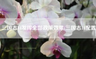 三国志14发挥全部政策效果(三国志14配置)