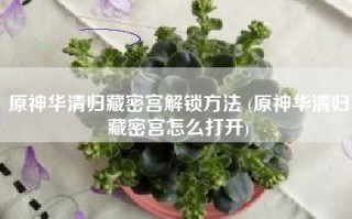 原神华清归藏密宫解锁方法 (原神华清归藏密宫怎么打开)