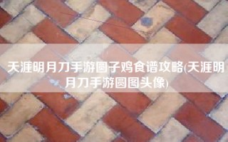 天涯明月刀手游圆子鸡食谱攻略(天涯明月刀手游圆图头像)