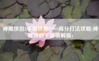 神雕侠侣2手游世界BOSS高分打法攻略(神雕侠侣手游破解版)