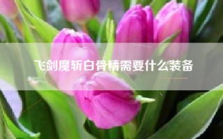 飞剑魔斩白骨精需要什么装备