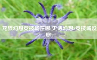 龙族幻想竞技场在哪(史诗幻想5竞技场没腿)