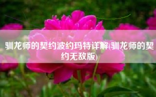 驯龙师的契约波约玛特详解(驯龙师的契约无敌版)