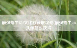 最强蜗牛GM文化衫获取攻略(最强蜗牛gm头像怎么获得)