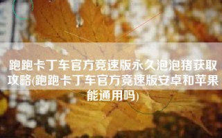 跑跑卡丁车官方竞速版永久泡泡猪获取攻略(跑跑卡丁车官方竞速版安卓和苹果能通用吗)