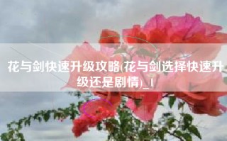 花与剑快速升级攻略(花与剑选择快速升级还是剧情)_1