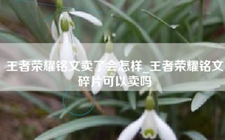 王者荣耀铭文卖了会怎样_王者荣耀铭文碎片可以卖吗