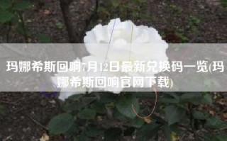 玛娜希斯回响7月12日最新兑换码一览(玛娜希斯回响官网下载)