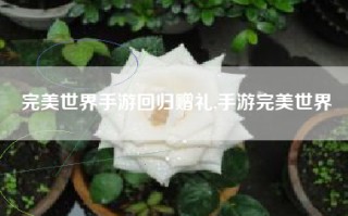 完美世界手游回归赠礼,手游完美世界