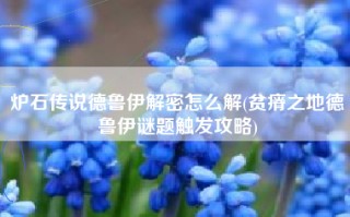 炉石传说德鲁伊解密怎么解(贫瘠之地德鲁伊谜题触发攻略)