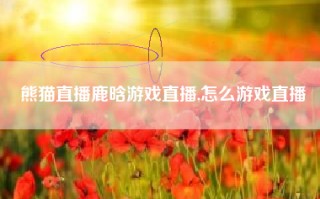 熊猫直播鹿晗游戏直播,怎么游戏直播