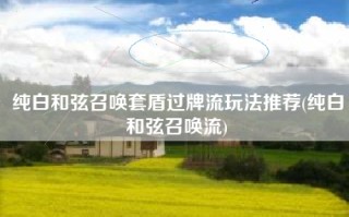 纯白和弦召唤套盾过牌流玩法推荐(纯白和弦召唤流)