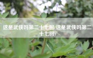 这是武侠吗第二十七回(这是武侠吗第二十七回)