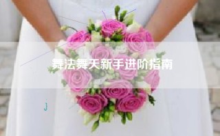 舞法舞天新手进阶指南