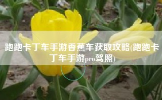 跑跑卡丁车手游香蕉车获取攻略(跑跑卡丁车手游pro驾照)