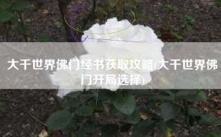 大千世界佛门经书获取攻略(大千世界佛门开局选择)