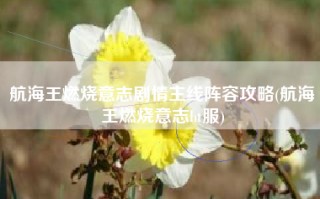 航海王燃烧意志剧情主线阵容攻略(航海王燃烧意志bt服)
