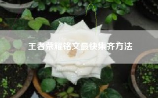 王者荣耀铭文最快集齐方法