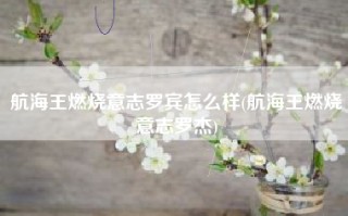 航海王燃烧意志罗宾怎么样(航海王燃烧意志罗杰)