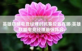 英雄联盟电竞经理对抗赛位置在哪(英雄联盟电竞经理最强阵容)