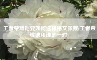 王者荣耀铠要如何选择铭文佩戴(王者荣耀铠和谁是一对)