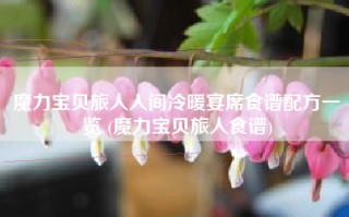 魔力宝贝旅人人间冷暖宴席食谱配方一览 (魔力宝贝旅人食谱)