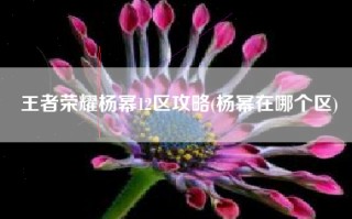 王者荣耀杨幂12区攻略(杨幂在哪个区)