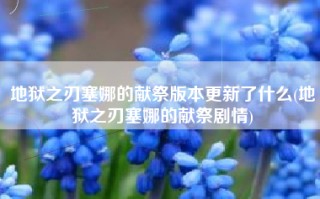 地狱之刃塞娜的献祭版本更新了什么(地狱之刃塞娜的献祭剧情)