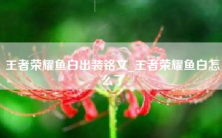 王者荣耀鱼白出装铭文_王者荣耀鱼白怎么了