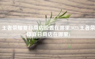 王者荣耀夏日商店位置在哪里2022(王者荣耀夏日商店在哪里)
