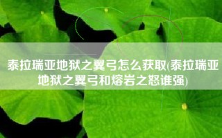 泰拉瑞亚地狱之翼弓怎么获取(泰拉瑞亚地狱之翼弓和熔岩之怒谁强)