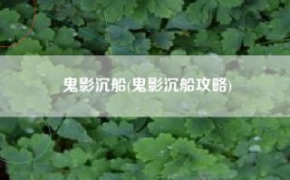 鬼影沉船(鬼影沉船攻略)
