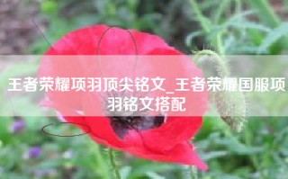 王者荣耀项羽顶尖铭文_王者荣耀国服项羽铭文搭配