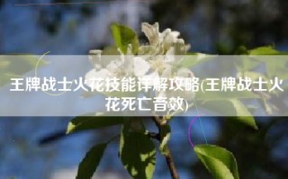 王牌战士火花技能详解攻略(王牌战士火花死亡音效)