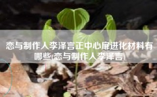 恋与制作人李泽言正中心扉进化材料有哪些(恋与制作人李泽言)