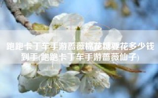 跑跑卡丁车手游蔷薇棉花糖要花多少钱到手(跑跑卡丁车手游蔷薇仙子)