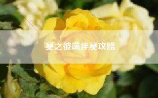 星之彼端伴星攻略