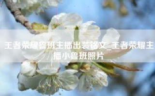 王者荣耀鲁班主播出装铭文_王者荣耀主播小鲁班照片