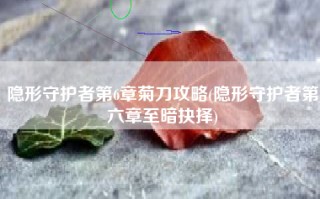 隐形守护者第6章菊刀攻略(隐形守护者第六章至暗抉择)