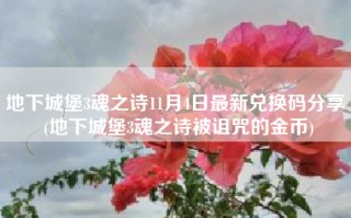地下城堡3魂之诗11月4日最新兑换码分享 (地下城堡3魂之诗被诅咒的金币)